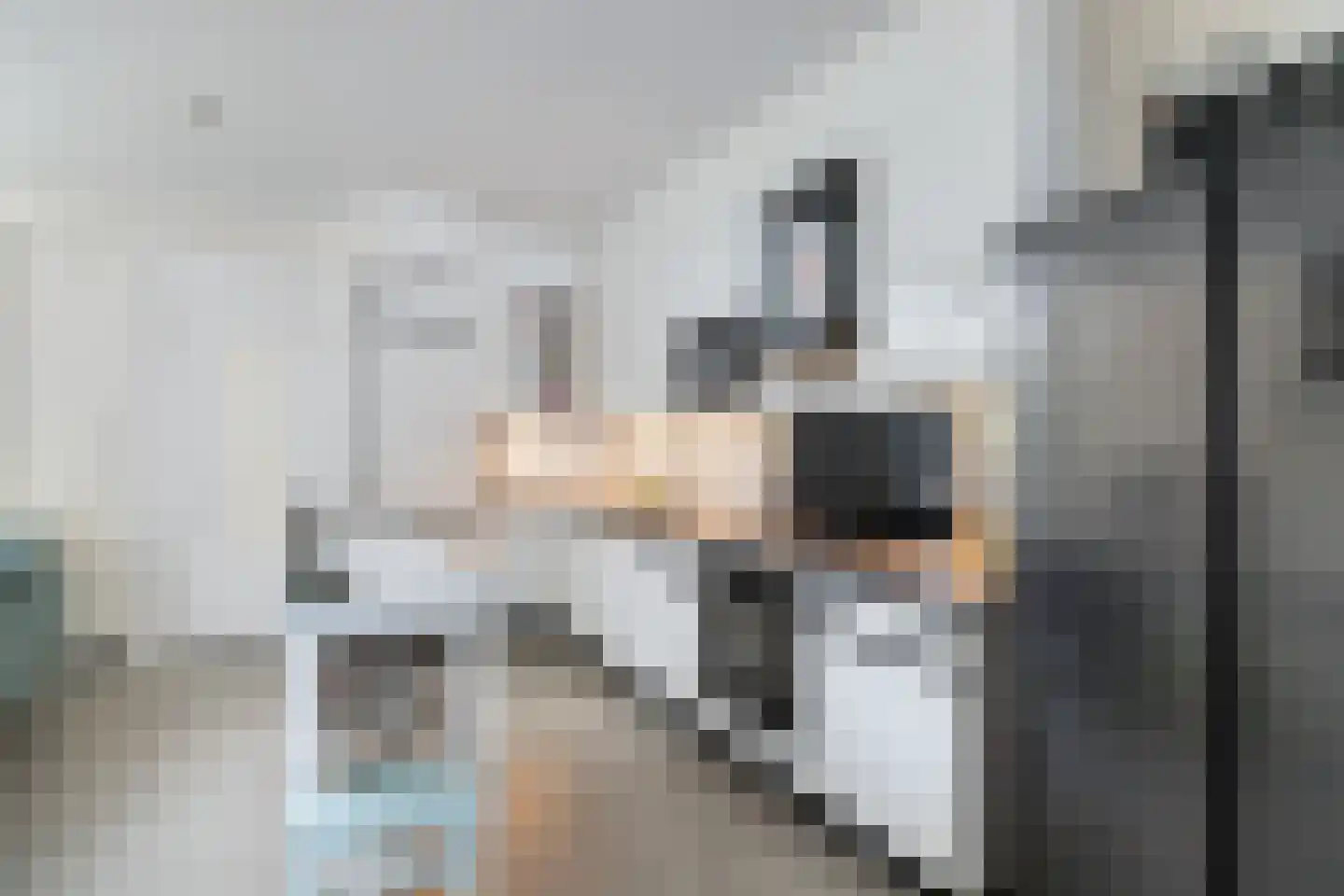 Valkenboslaan 266 Den Haag thumbnail 7