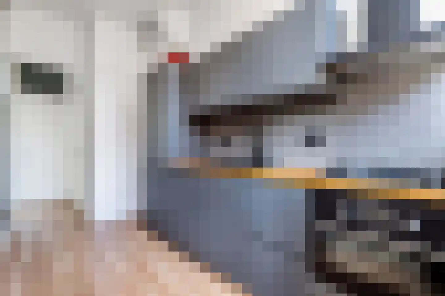 Valkenboslaan 378 Den Haag thumbnail 21