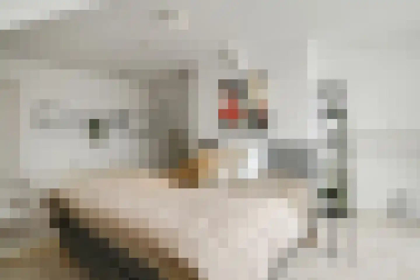 Valkenboslaan 39 A Den Haag thumbnail 28