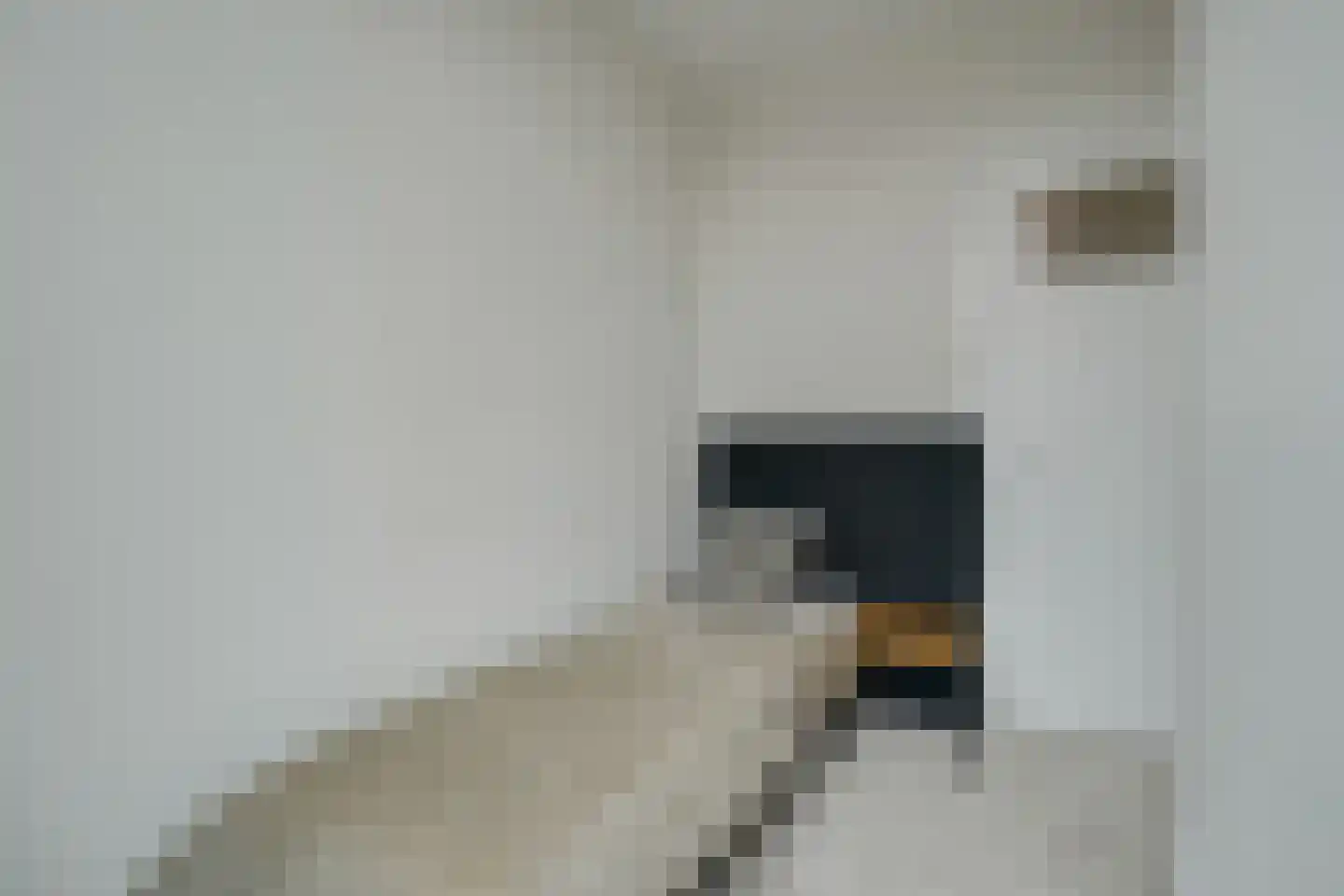 Valkenboslaan 39 A Den Haag thumbnail 32