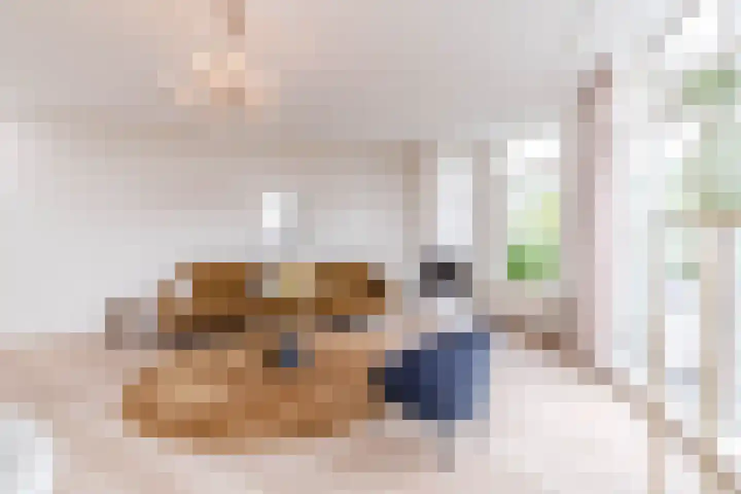 Valkenboslaan 51 A Den Haag thumbnail 9