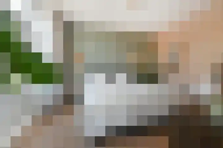 Valkenboslaan 70 Den Haag thumbnail 37