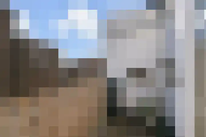 Valkenboslaan 70 Den Haag thumbnail 50
