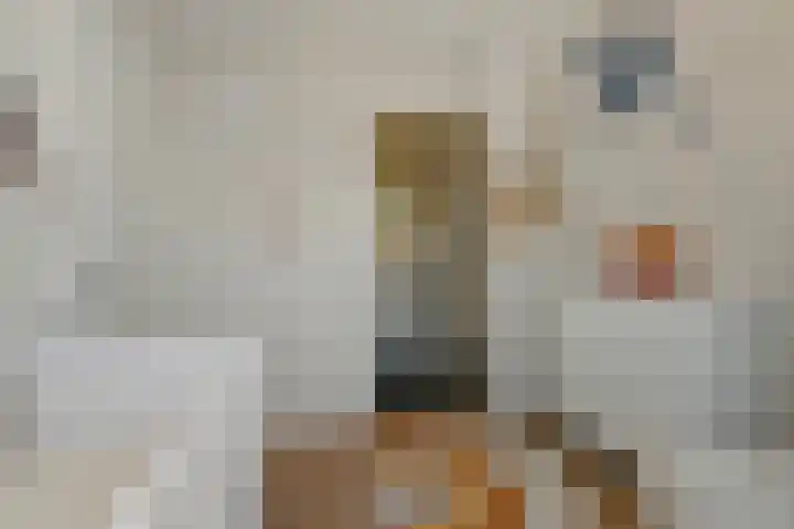 Valkenboslaan 70 Den Haag thumbnail 58