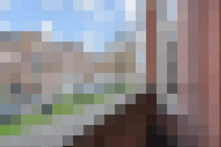 Valkenboslaan 72 C Den Haag thumbnail 11