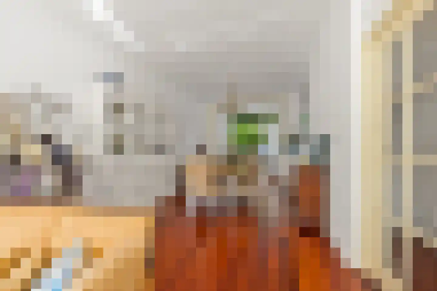 Valkenboslaan 86 Den Haag thumbnail 13