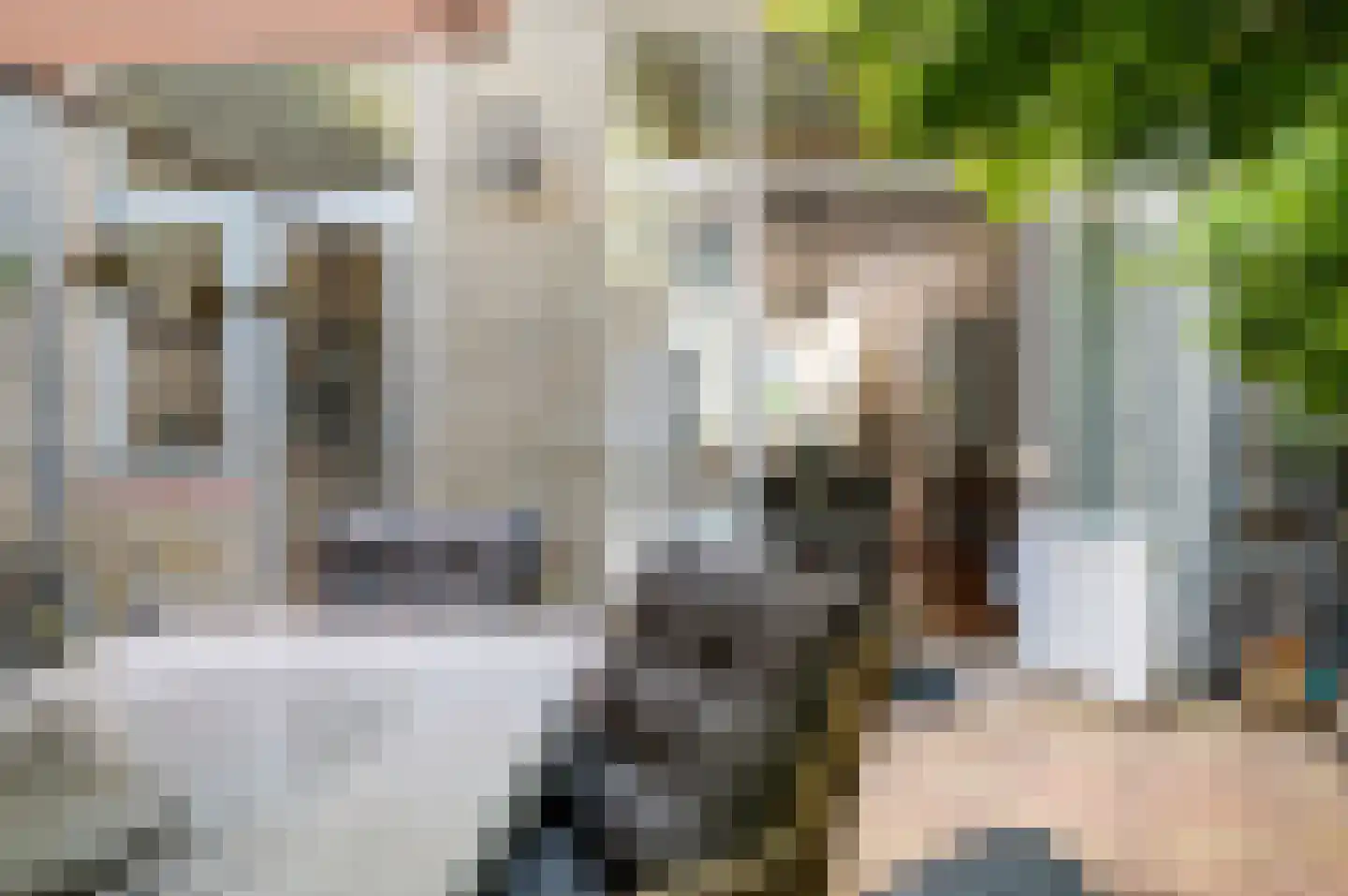 Valkenboslaan 86 Den Haag thumbnail 18