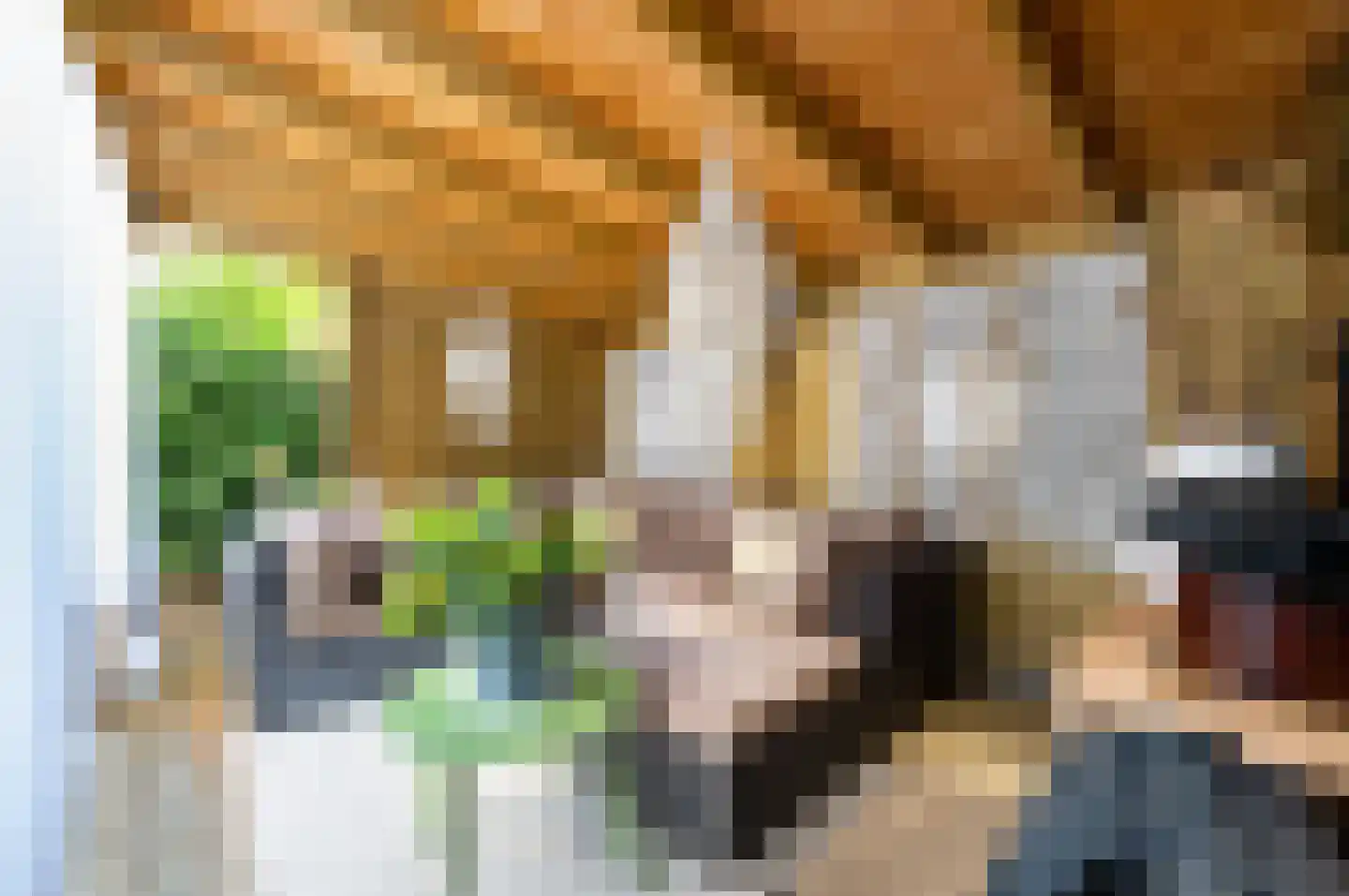 Valkenboslaan 86 Den Haag thumbnail 4