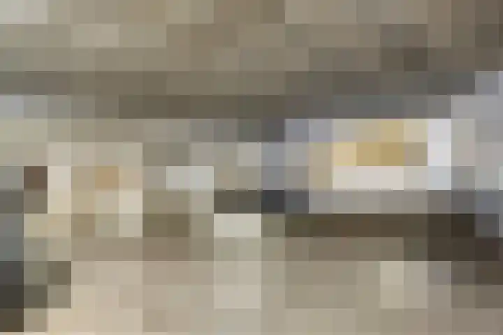 Valkenbosplein 17 E Den Haag thumbnail 27