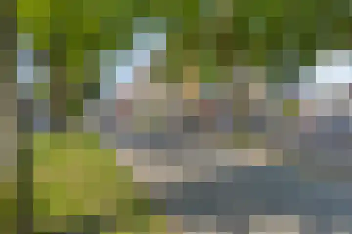 Valkenbosplein 17 E Den Haag thumbnail 28