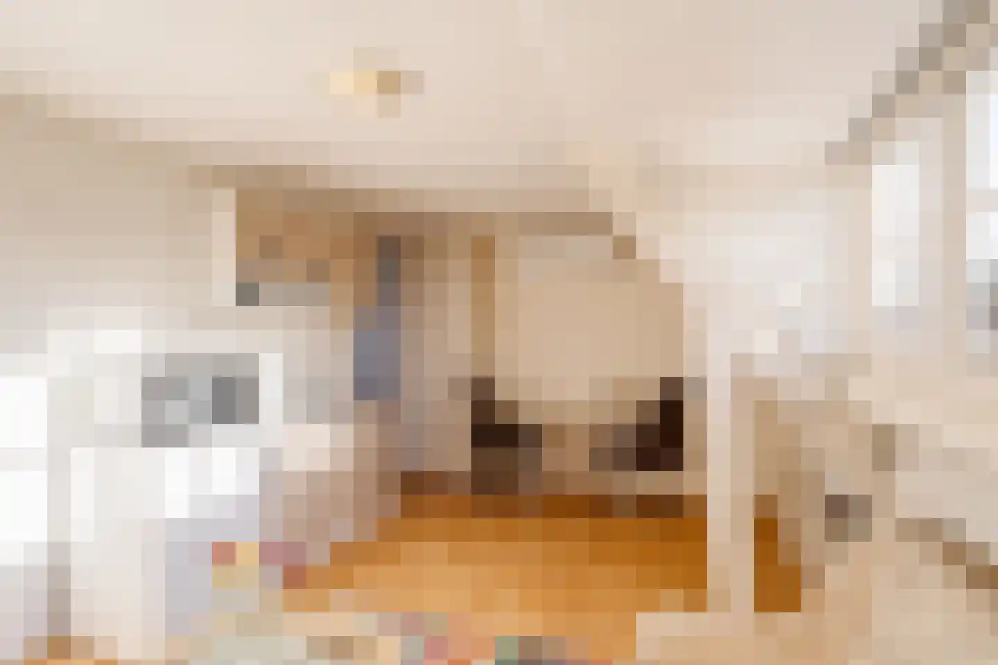 Valkenburgerlaan 1 Heemstede thumbnail 45