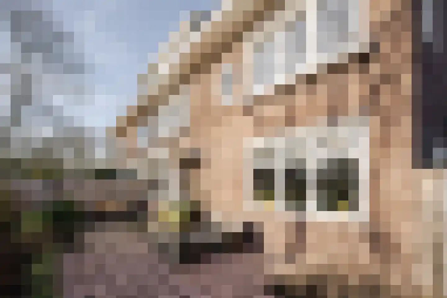 Valkenburgerlaan 1 Heemstede thumbnail 57