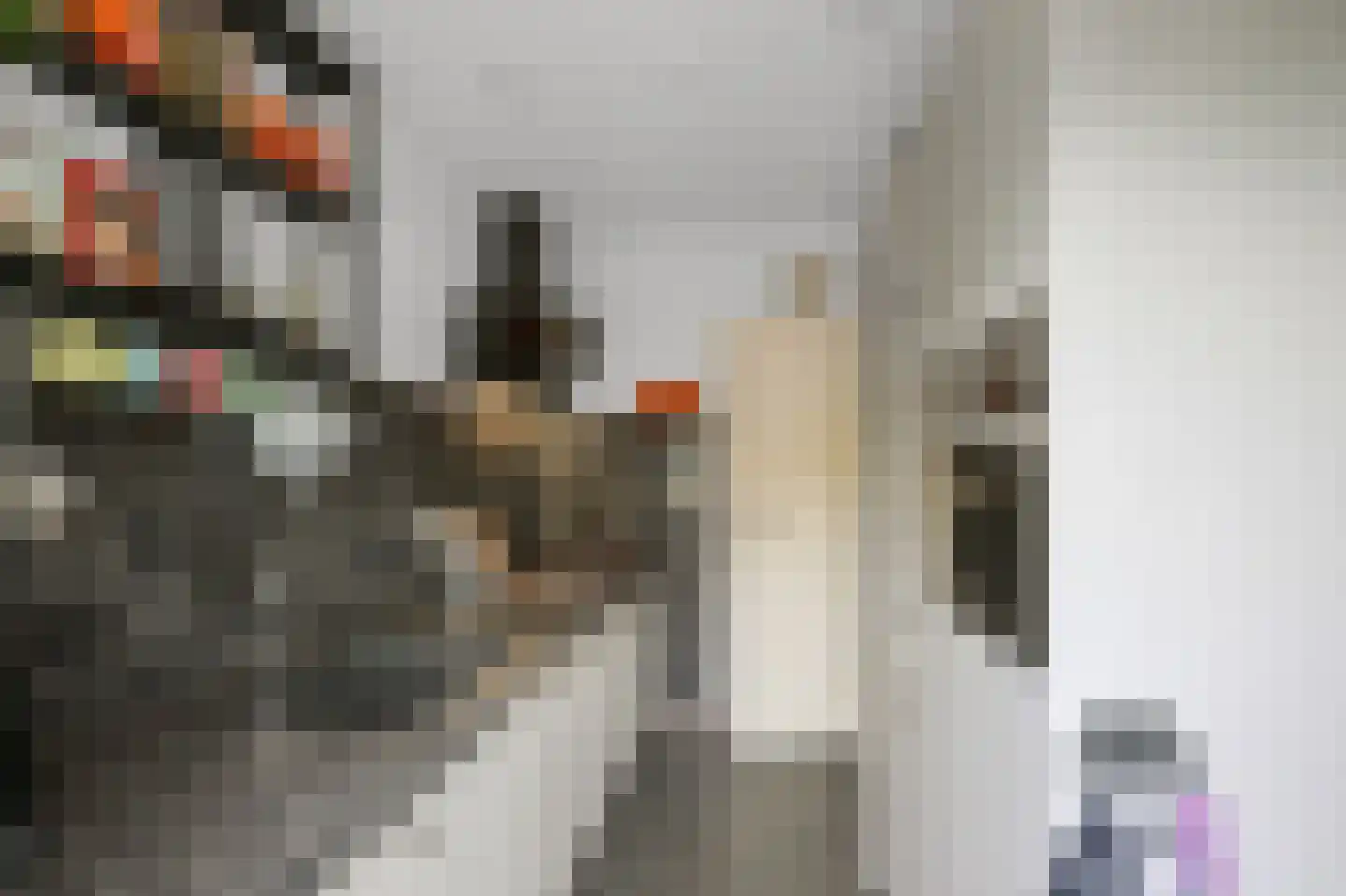 Valkenburgerlaan 103 Boskoop thumbnail 11