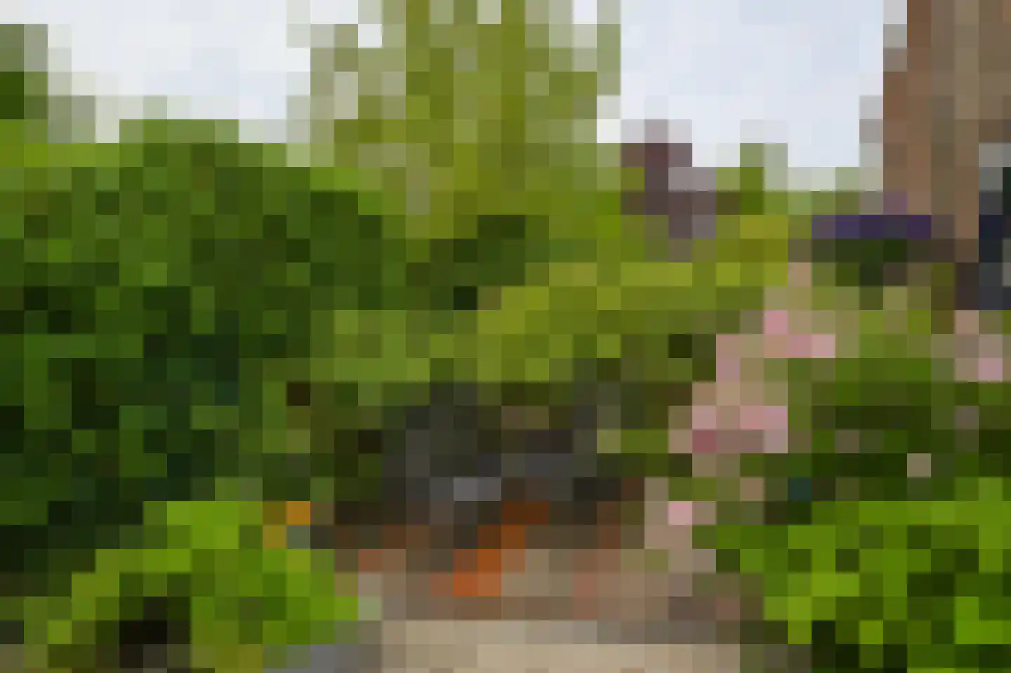 Valkenburgerlaan 103 Boskoop thumbnail 27