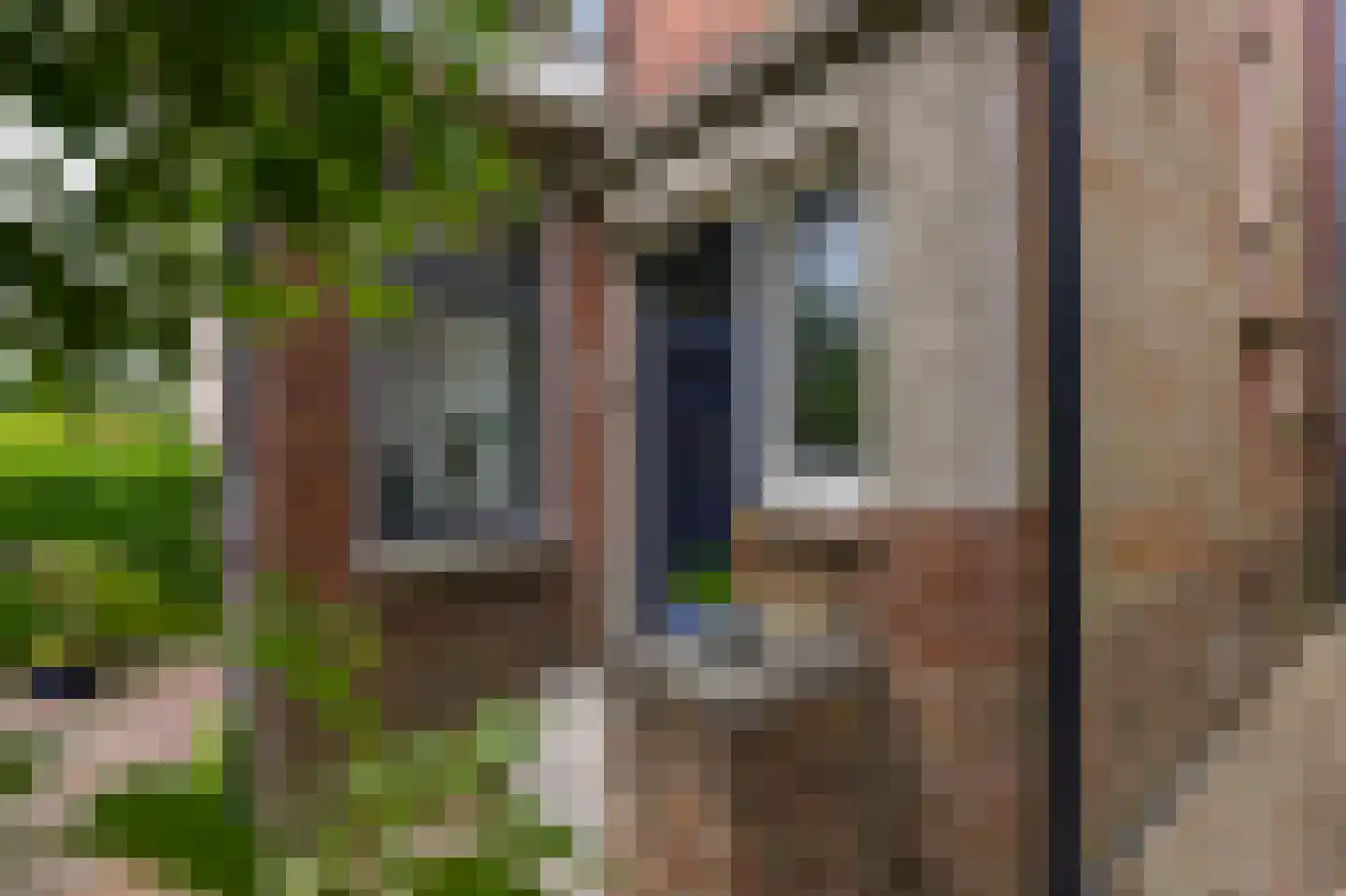 Valkenburgerlaan 103 Boskoop thumbnail 28