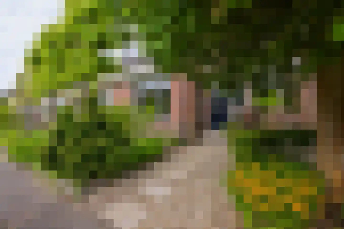 Valkenburgerlaan 103 Boskoop thumbnail 29