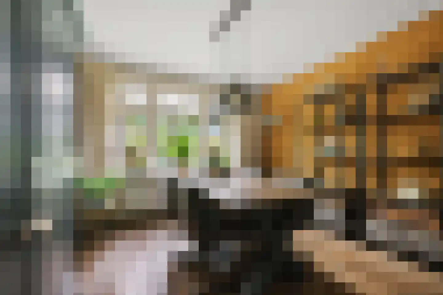 Valkenburgerlaan 103 Boskoop thumbnail 4