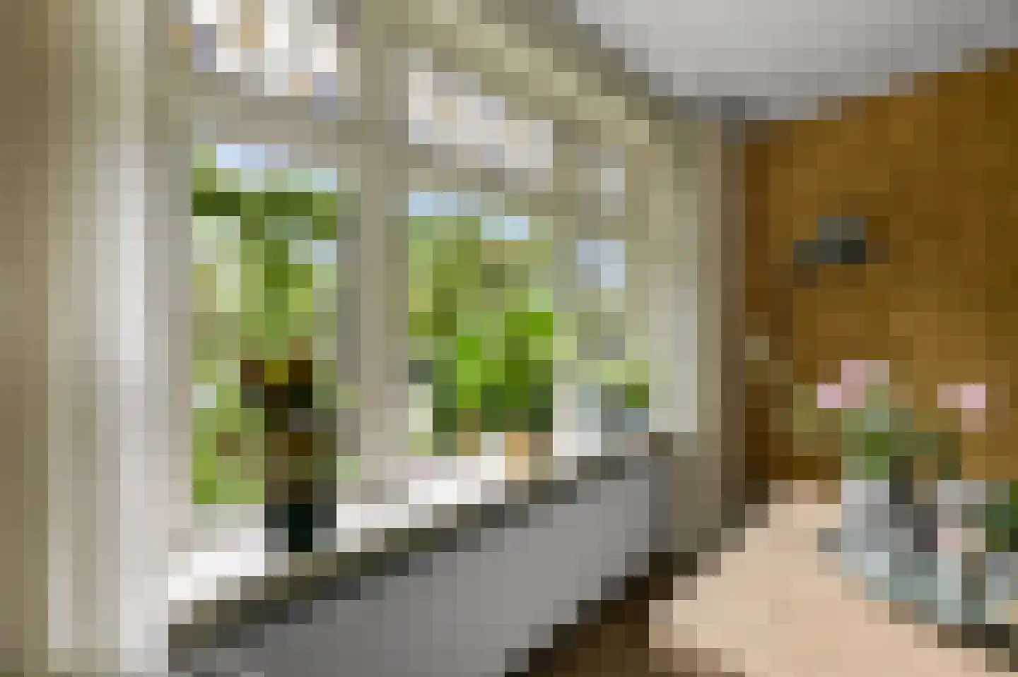 Valkenburgerlaan 103 Boskoop thumbnail 9