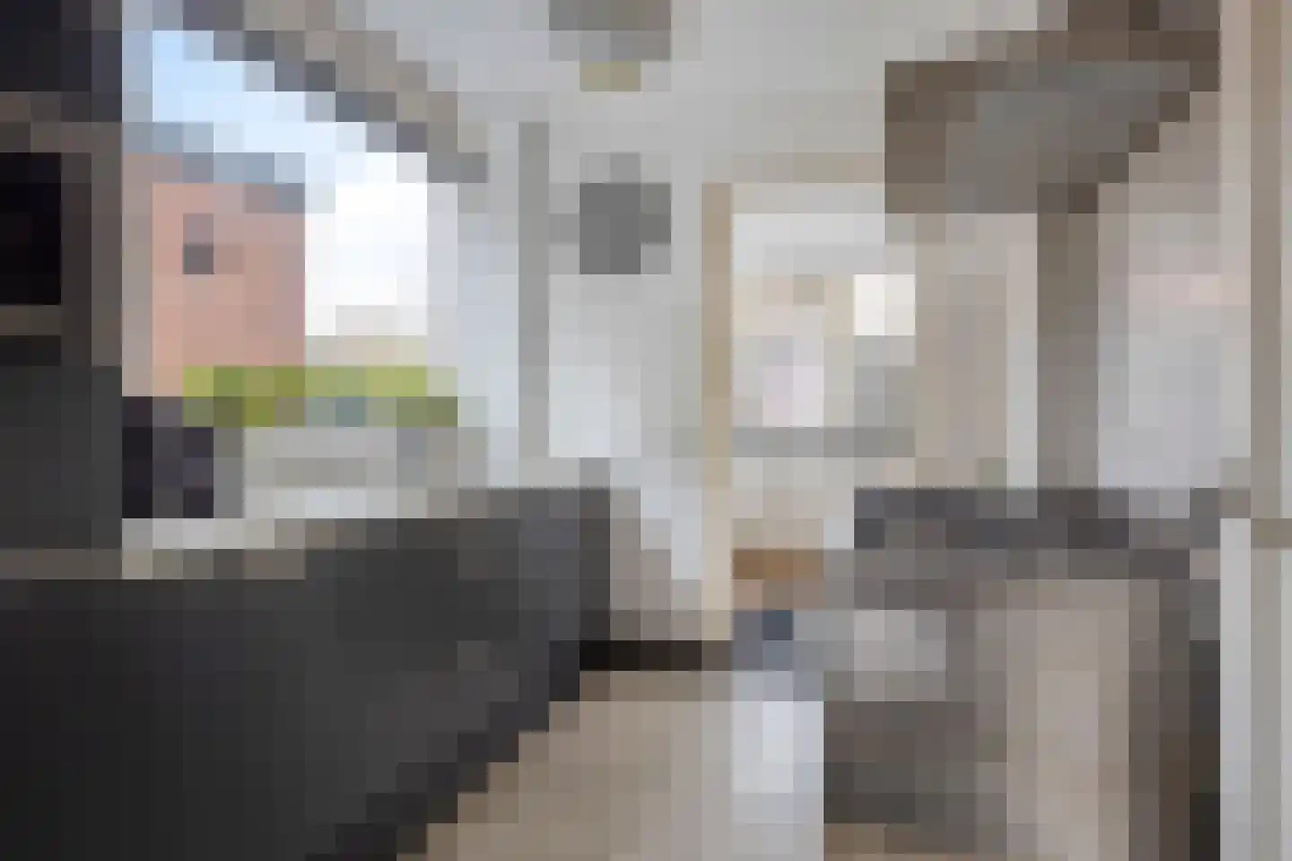 Valkenburgerlaan 111 Boskoop thumbnail 13