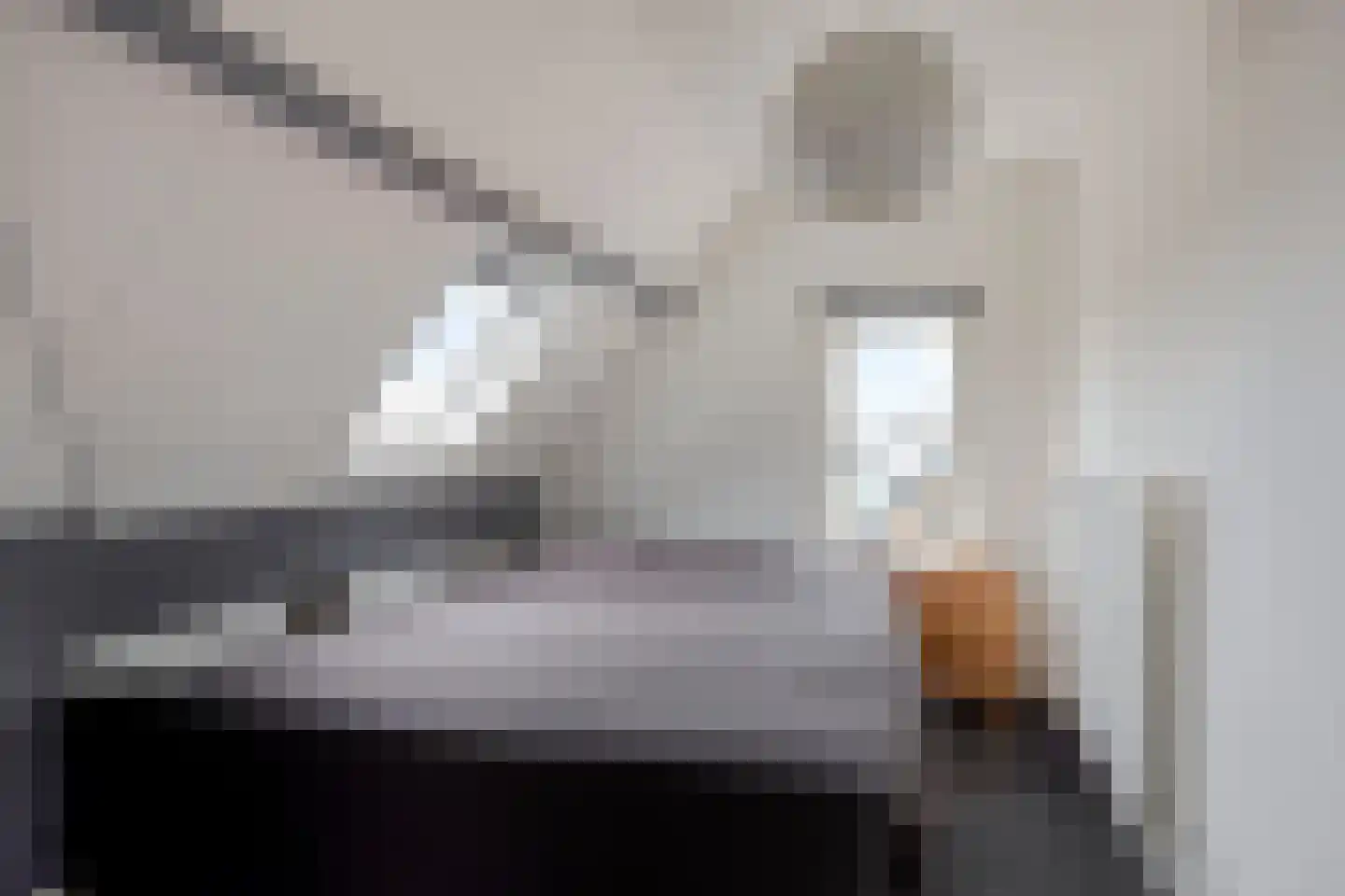 Valkenburgerlaan 111 Boskoop thumbnail 31