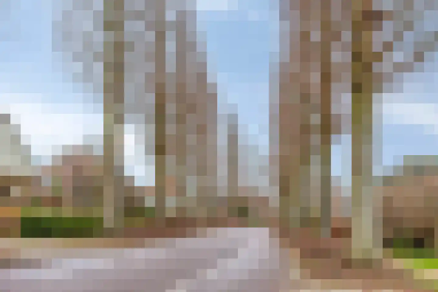 Valkenburgerlaan 111 Boskoop thumbnail 39