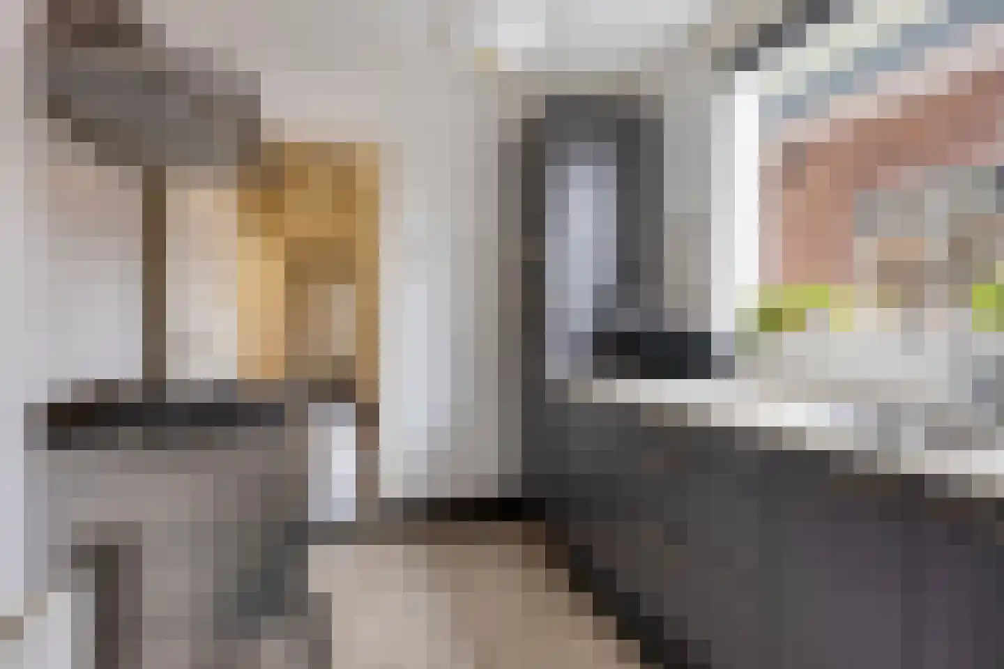 Valkenburgerlaan 111 Boskoop thumbnail 4