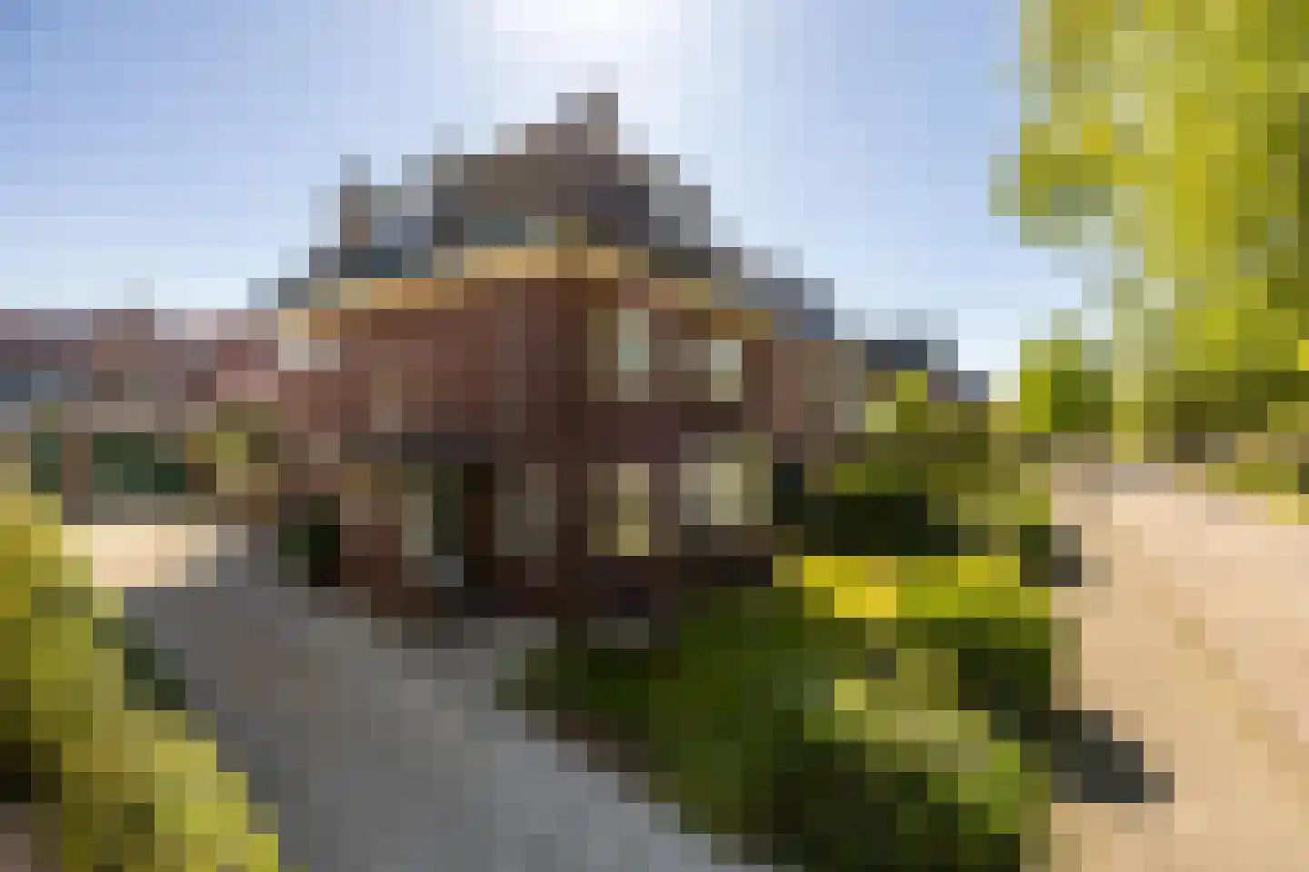Valkenburgerlaan 22 Heemstede
