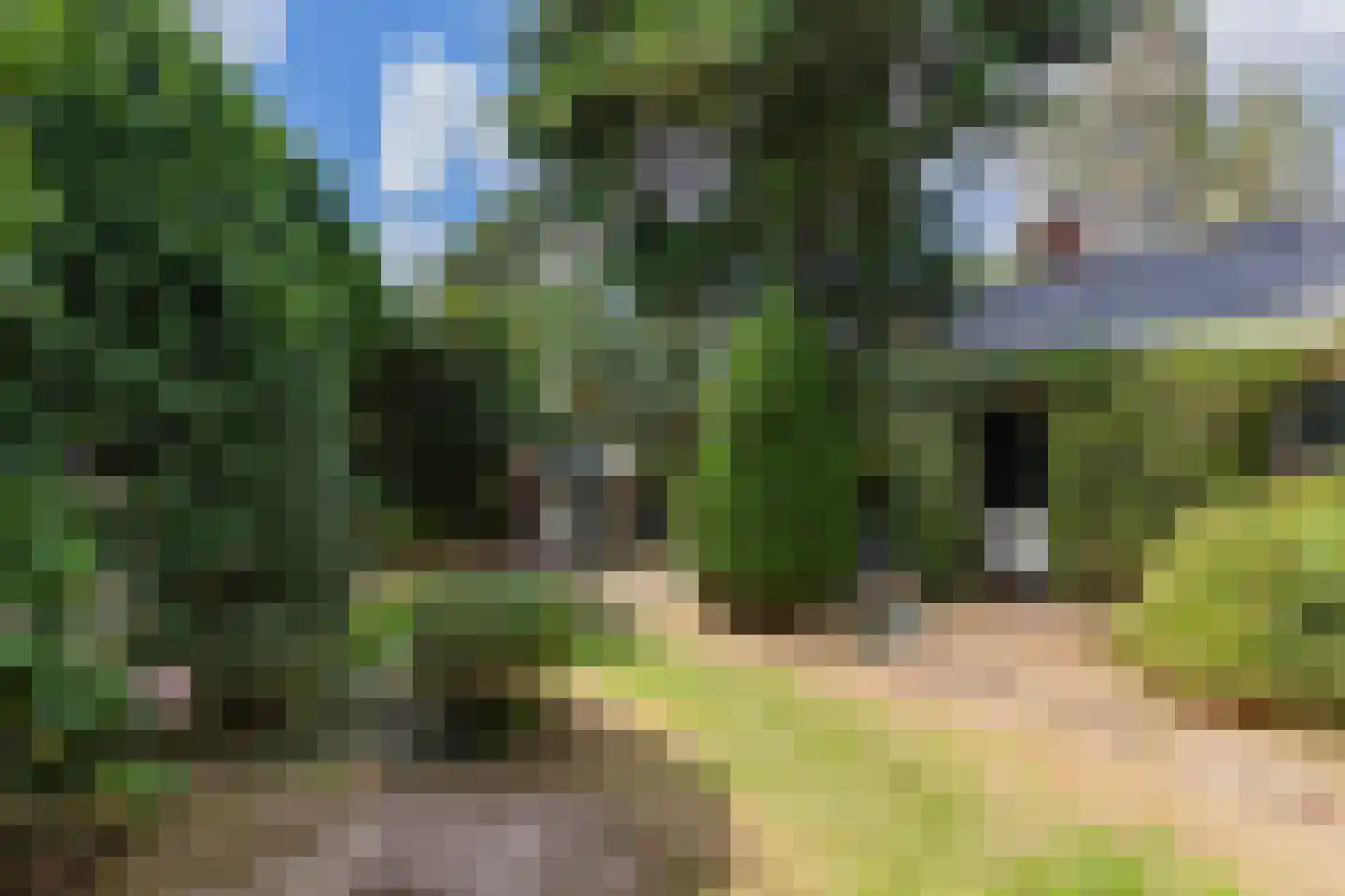 Valkenburgerlaan 23 Heemstede thumbnail 19