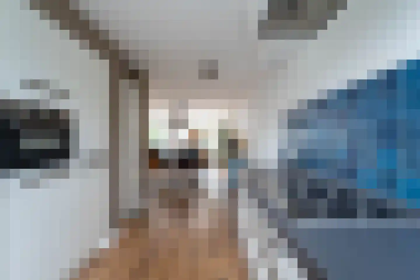 Valkenburgerlaan 30 Boskoop thumbnail 19