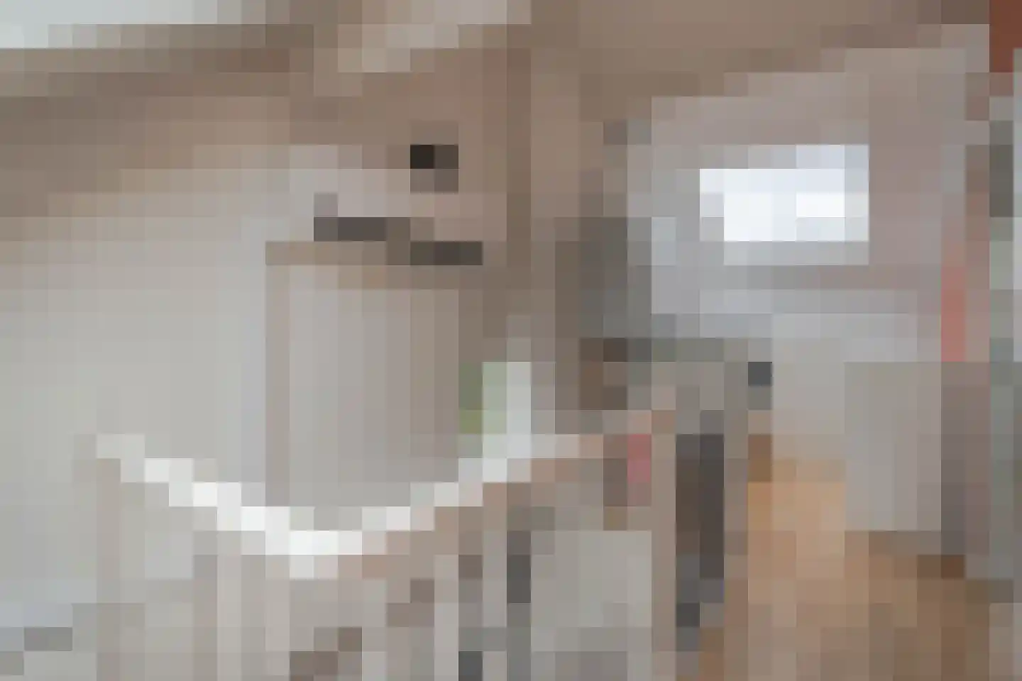 Valkenburgerlaan 30 Boskoop thumbnail 32