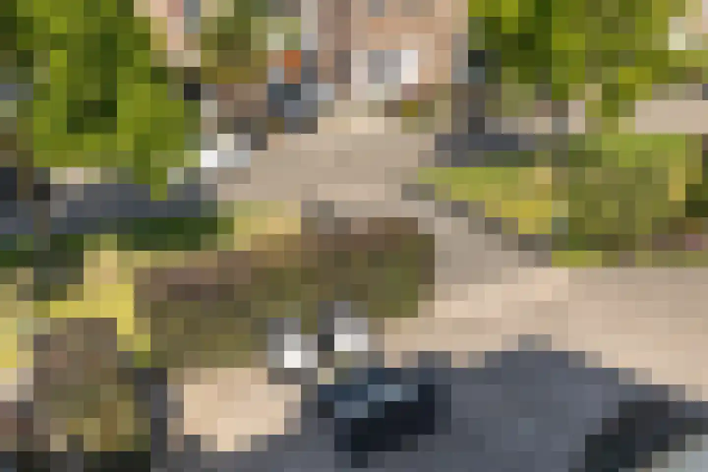 Valkenburgerlaan 34 Boskoop thumbnail 23