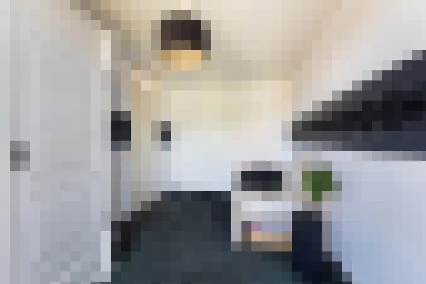 Valkenburgerlaan 34 Boskoop thumbnail 24