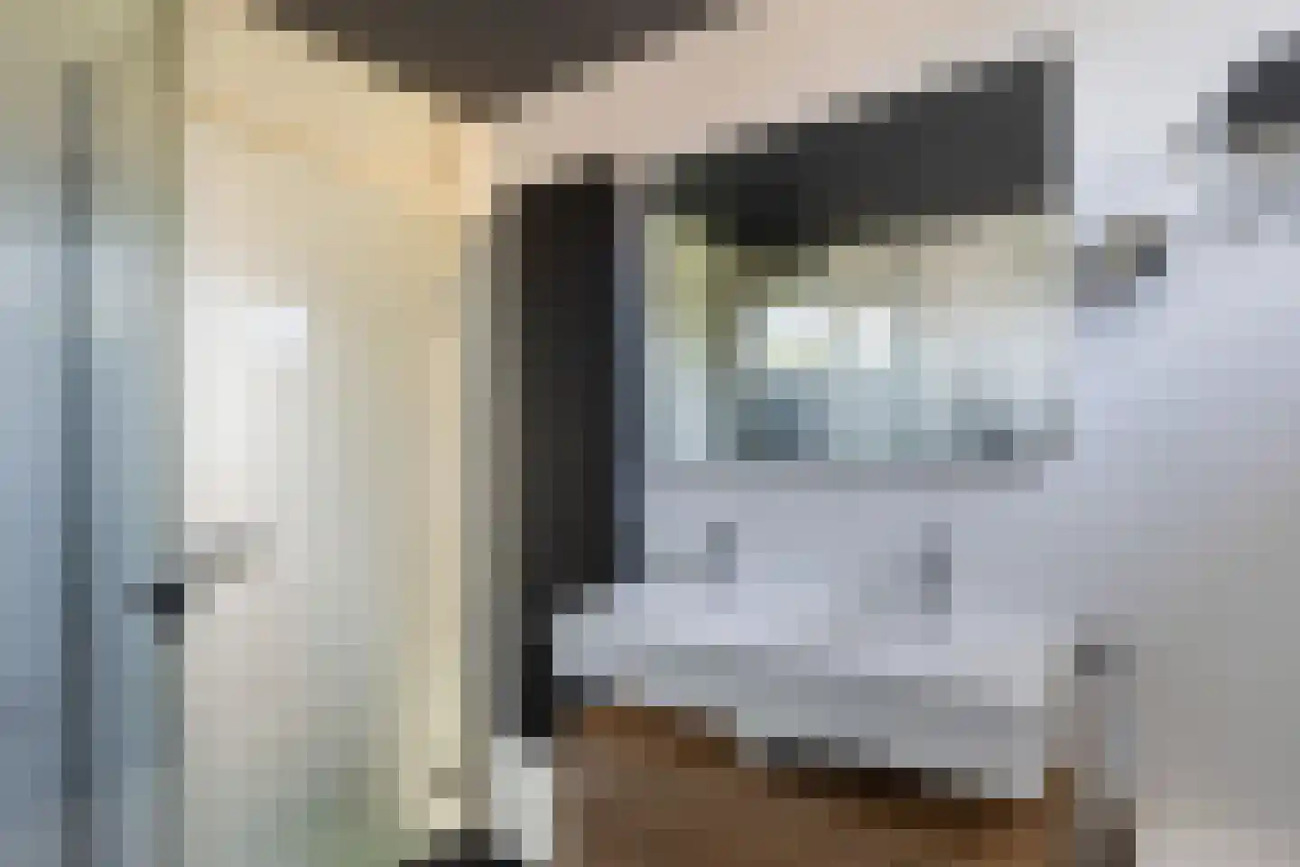 Valkenburgerlaan 34 Boskoop thumbnail 26