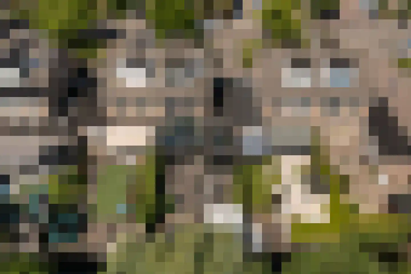 Valkenburgerlaan 34 Boskoop thumbnail 41
