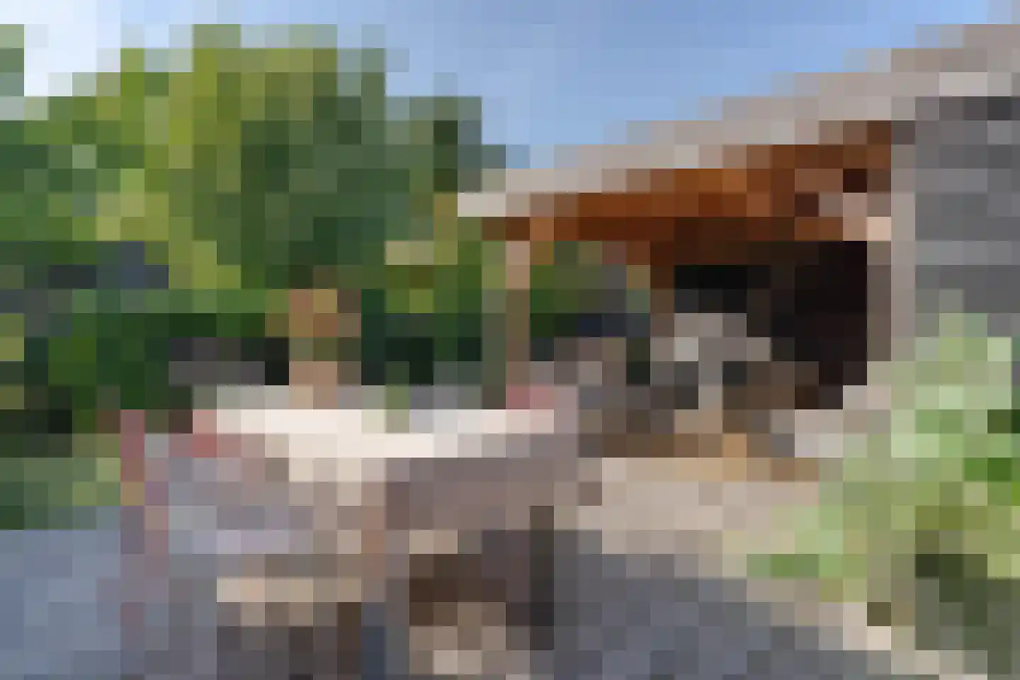Valkenburgerlaan 77 Boskoop thumbnail 13