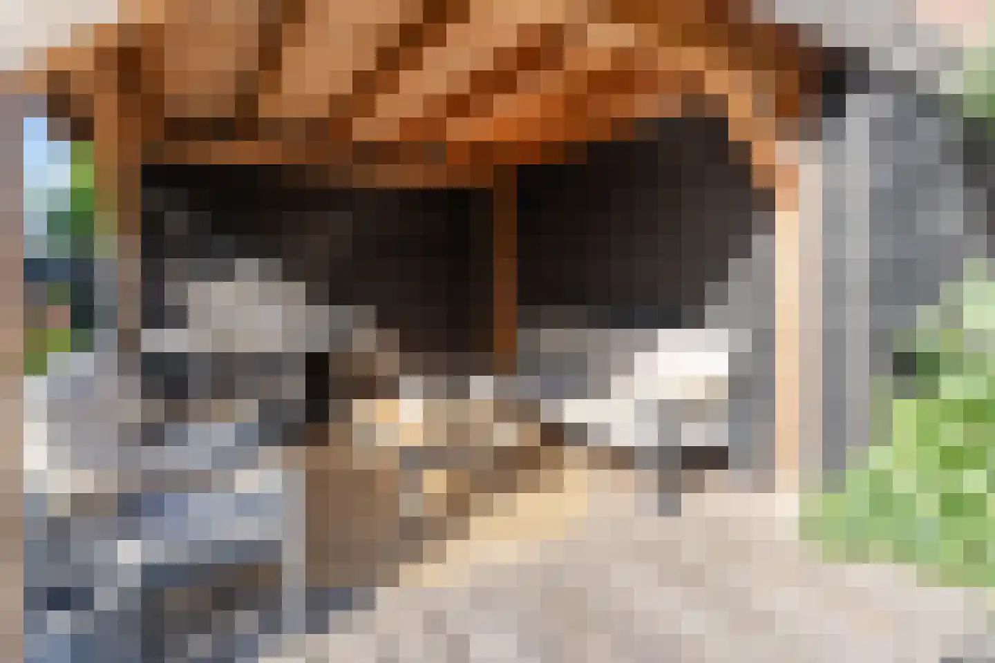 Valkenburgerlaan 77 Boskoop thumbnail 14