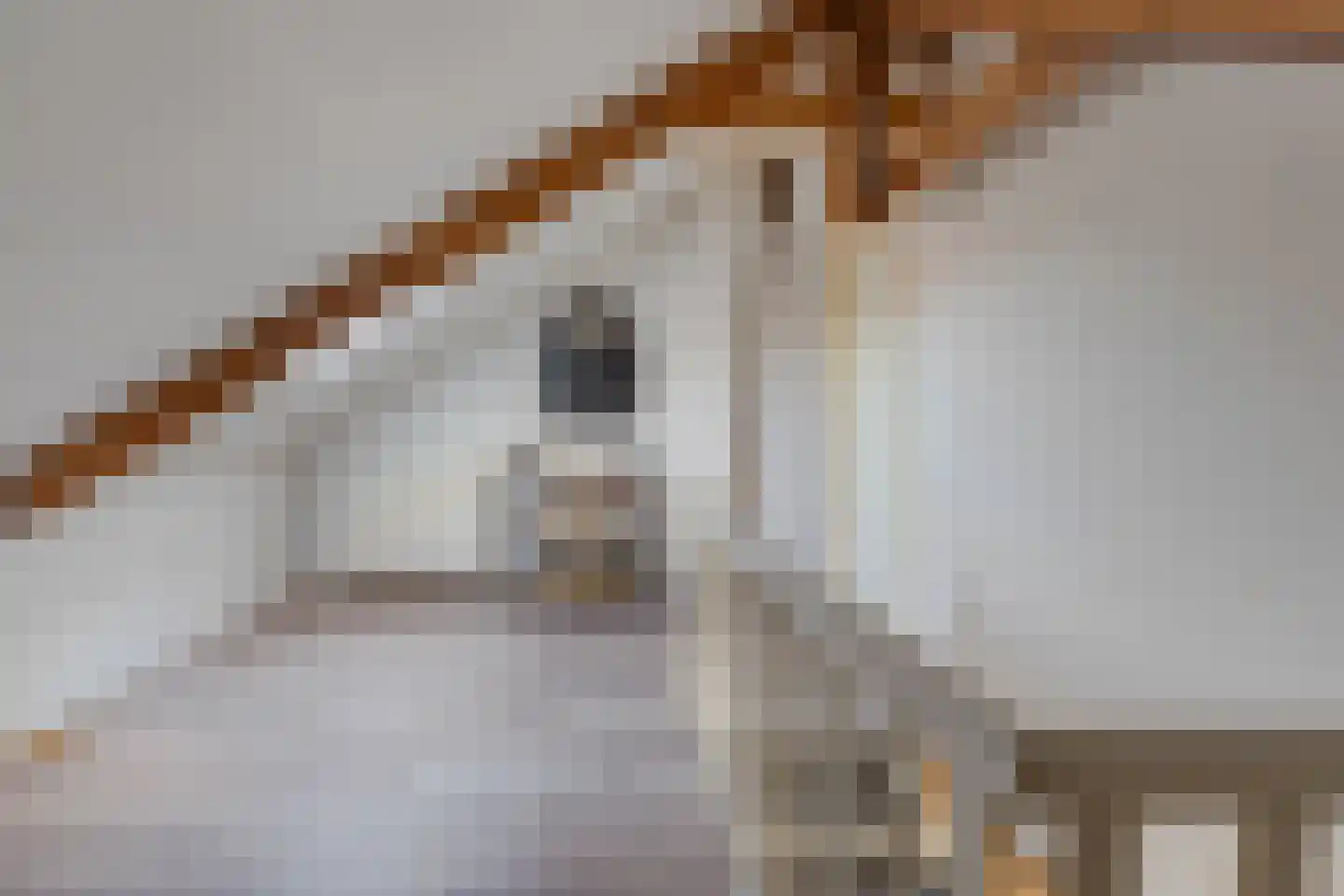 Valkenburgerlaan 77 Boskoop thumbnail 31