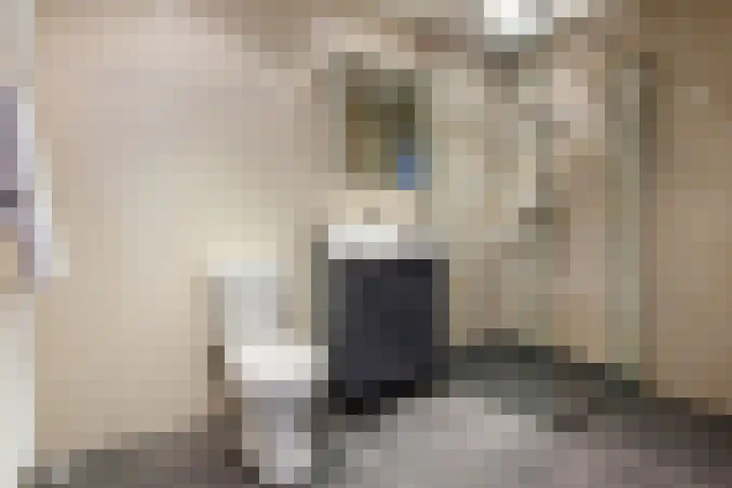 Valkenburgerlaan 77 Heemstede thumbnail 26
