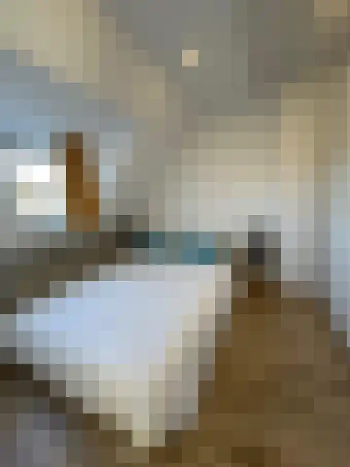 Valkenburgerlaan 79 A Heemstede thumbnail 16