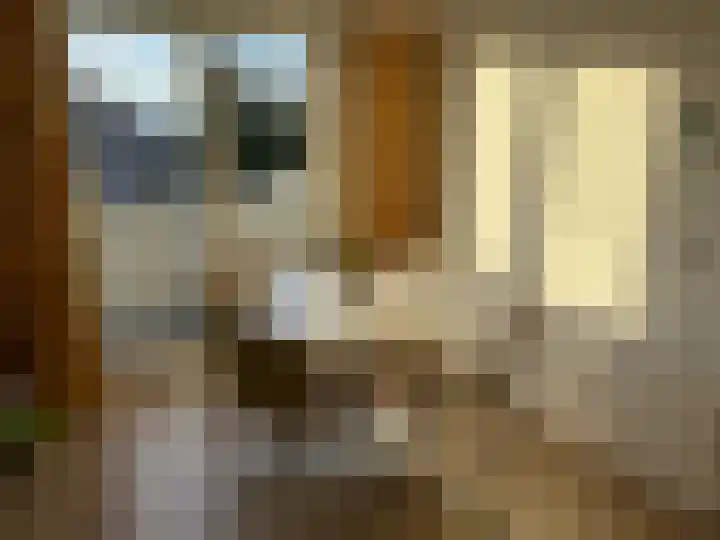 Valkenburgerlaan 79 A Heemstede thumbnail 4