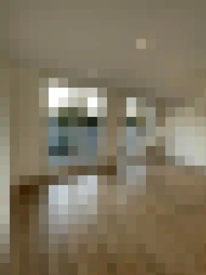 Valkenburgerlaan 79 A Heemstede thumbnail 5