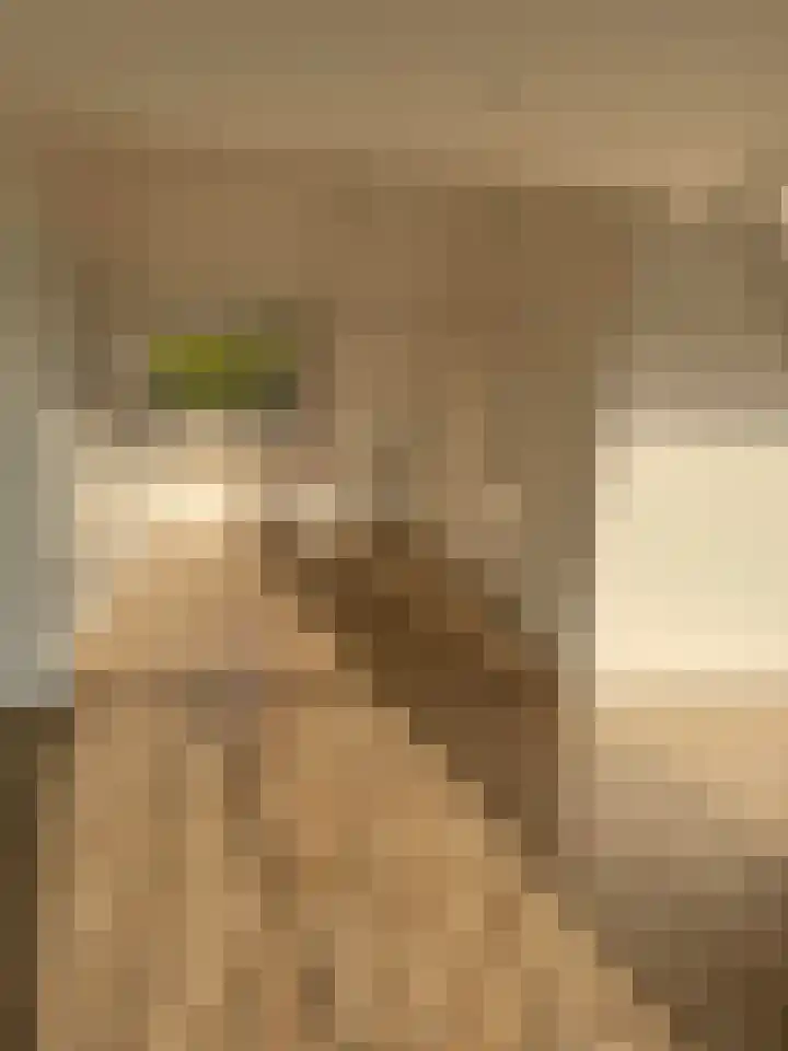 Valkenburgerlaan 79 A Heemstede thumbnail 9