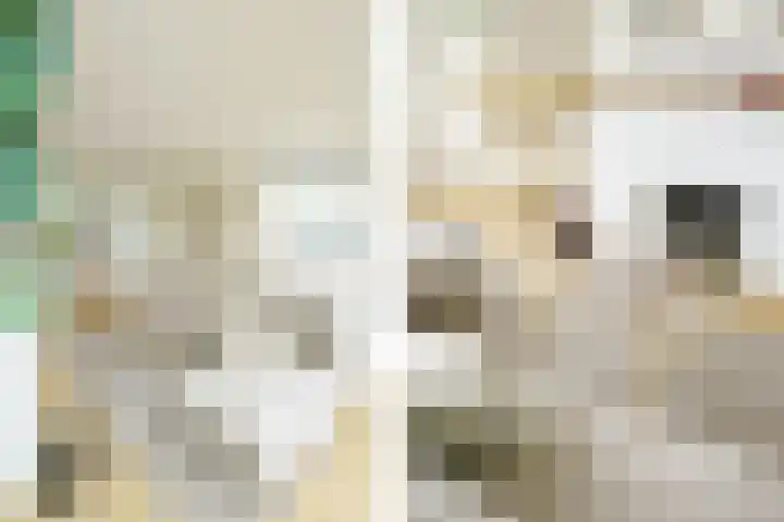 Valkenburgerplein 4 II Heemstede thumbnail 11