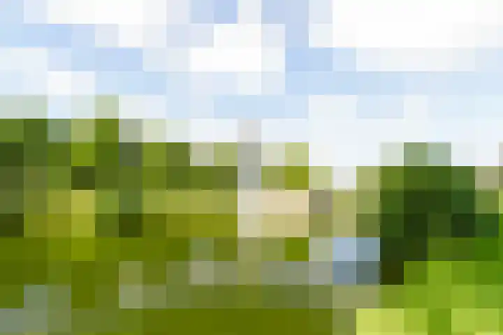 Valkenburgerplein 4 II Heemstede thumbnail 31