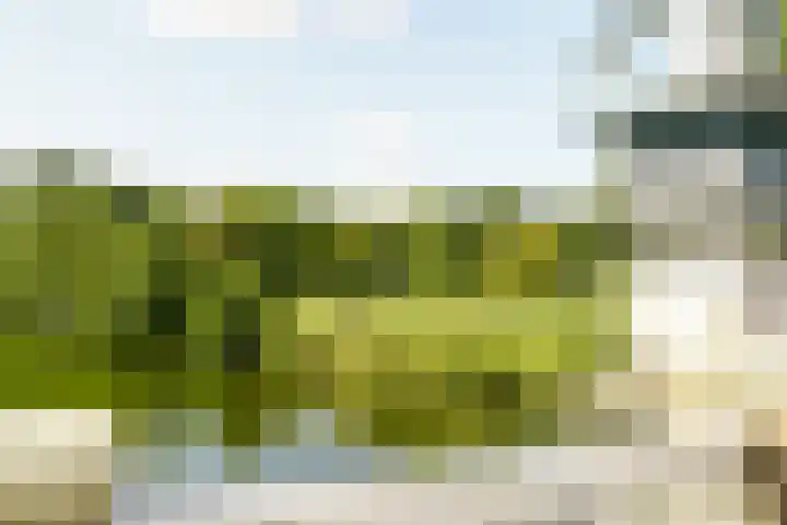 Valkenburgerplein 4 II Heemstede thumbnail 32