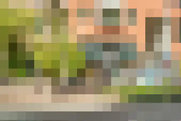 Valkenburgerstraat 113 Amsterdam thumbnail 43