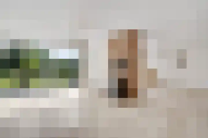 Valkenburgerstraat 14 Berg en Terblijt thumbnail 5