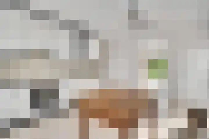 Valkenburgerstraat 14 Berg en Terblijt thumbnail 7