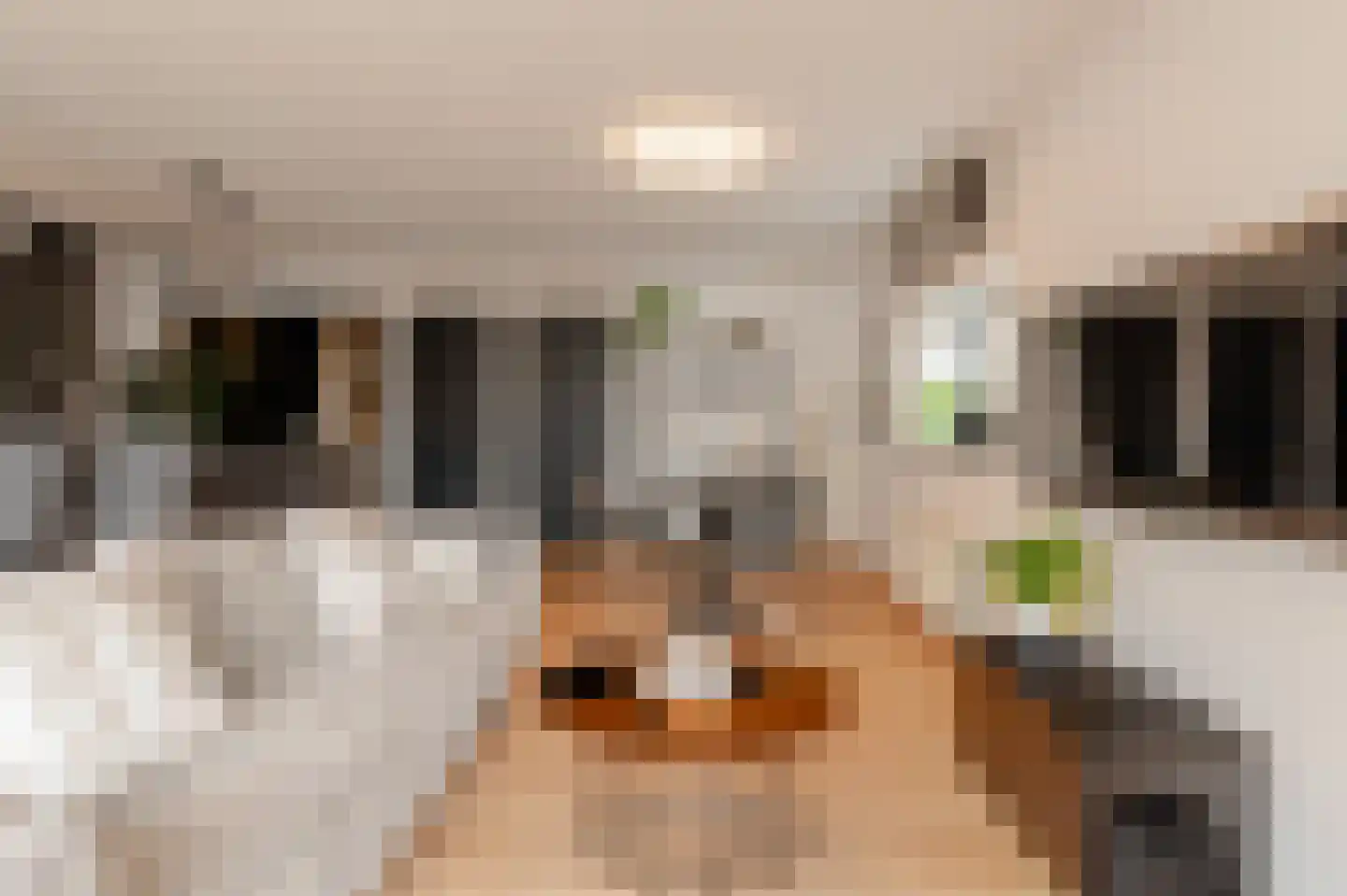 Valkenburgerstraat 141 Amsterdam thumbnail 6