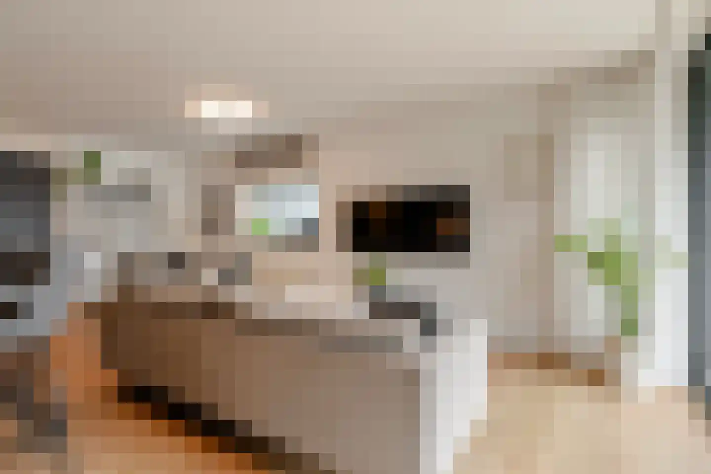 Valkenburgerstraat 141 Amsterdam thumbnail 7
